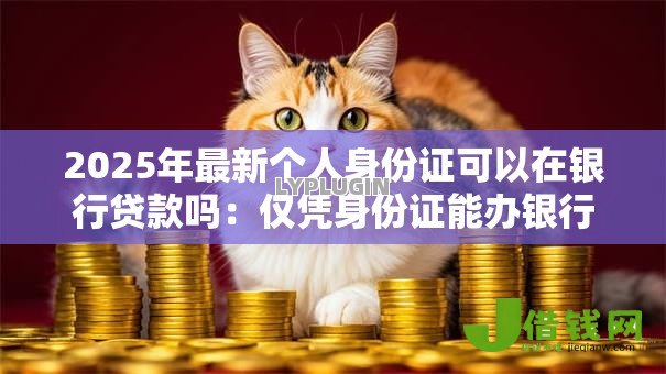 2025年最新个人身份证可以在银行贷款吗：仅凭身份证能办银行贷款吗