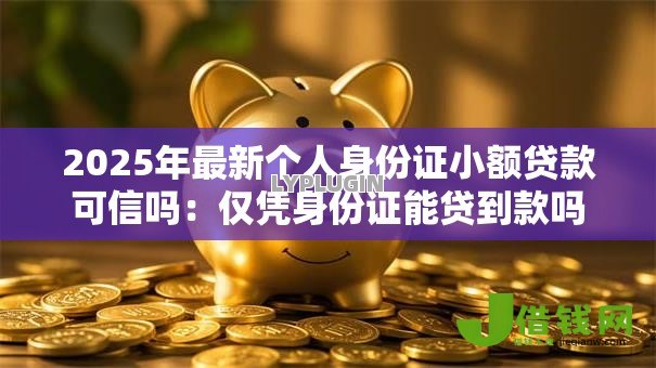 2025年最新个人身份证小额贷款可信吗：仅凭身份证能贷到款吗