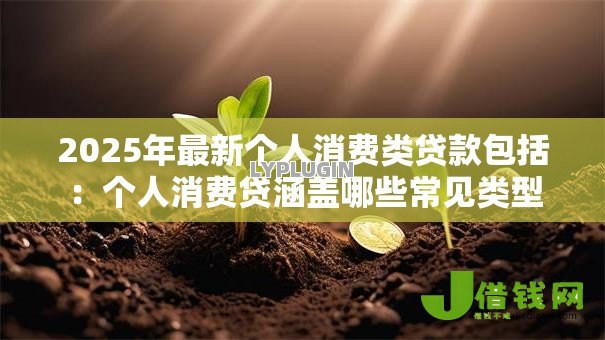 2025年最新个人消费类贷款包括：个人消费贷涵盖哪些常见类型