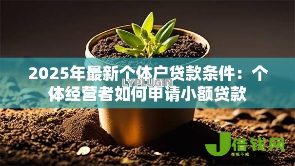 2025年最新个体户贷款条件：个体经营者如何申请小额贷款