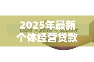 2025年最新个体经营贷款：小微企业如何申请低息经营贷