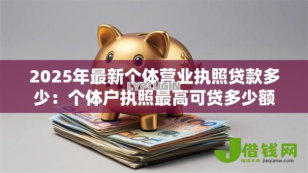 2025年最新个体营业执照贷款多少：个体户执照最高可贷多少额度