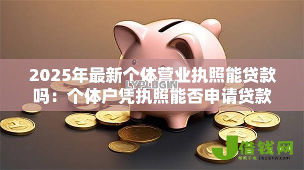 2025年最新个体营业执照能贷款吗：个体户凭执照能否申请贷款