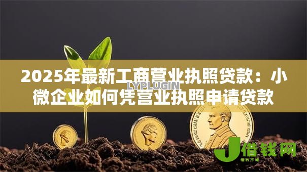2025年最新工商营业执照贷款：小微企业如何凭营业执照申请贷款