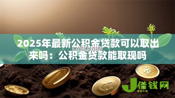 2025年最新公积金贷款可以取出来吗：公积金贷款能取现吗