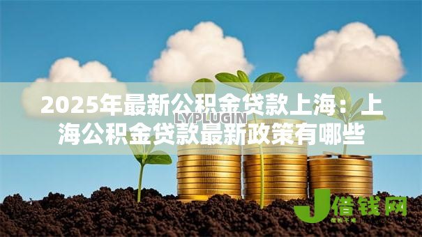 2025年最新公积金贷款上海：上海公积金贷款最新政策有哪些