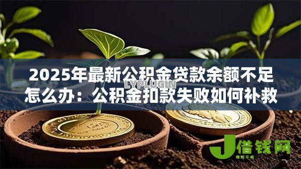 2025年最新公积金贷款余额不足怎么办:公积金扣款失败如何补救 2025年最新公积金贷款余额不足怎么办:公积金扣款失败如何补救