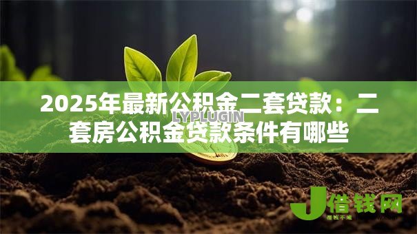 2025年最新公积金二套贷款：二套房公积金贷款条件有哪些