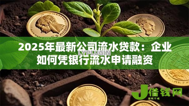 2025年最新公司流水贷款：企业如何凭银行流水申请融资