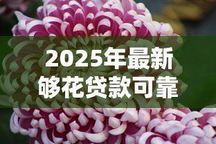 2025年最新够花贷款可靠吗:够花贷款是否安全值得信赖 2025年最新够花贷款可靠吗:够花贷款是否安全值得信赖