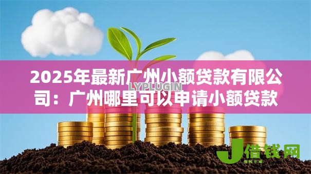 2025年最新广州小额贷款有限公司：广州哪里可以申请小额贷款