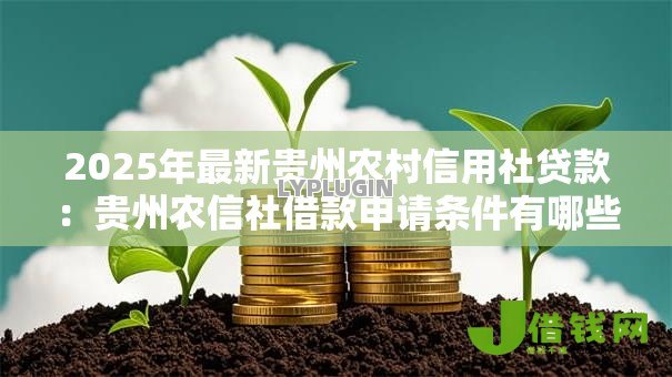 2025年最新贵州农村信用社贷款:贵州农信社借款申请条件有哪些 2025年最新贵州农村信用社贷款:贵州农信社借款申请条件有哪些