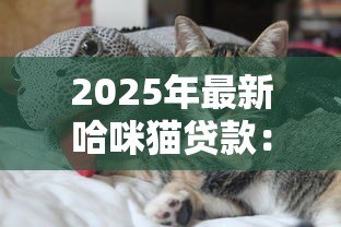 2025年最新哈咪猫贷款:宠物贷款平台如何申请 2025年最新哈咪猫贷款:宠物贷款平台如何申请