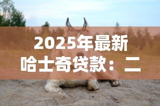 2025年最新哈士奇贷款:二哈也能申请消费贷是真的吗 2025年最新哈士奇贷款:二哈也能申请消费贷是真的吗