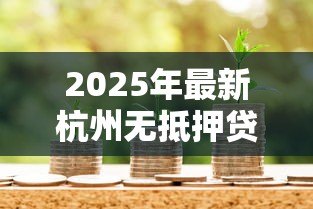 2025年最新杭州无抵押贷款：杭州如何申请无需担保的信贷服务
