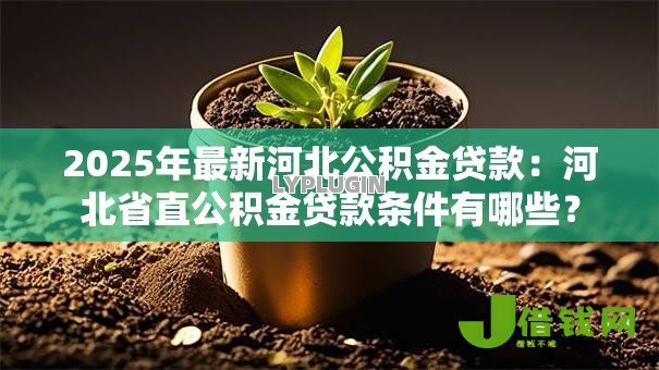 2025年最新河北公积金贷款：河北省直公积金贷款条件有哪些？