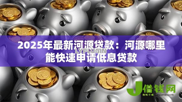 2025年最新河源贷款：河源哪里能快速申请低息贷款