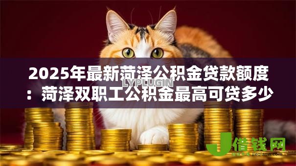 2025年最新菏泽公积金贷款额度:菏泽双职工公积金最高可贷多少万 2025年最新菏泽公积金贷款额度:菏泽双职工公积金最高可贷多少万