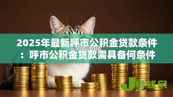 2025年最新呼市公积金贷款条件：呼市公积金贷款需具备何条件