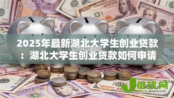 2025年最新湖北大学生创业贷款：湖北大学生创业贷款如何申请