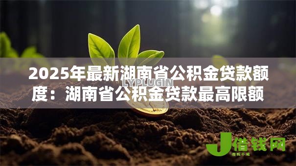 2025年最新湖南省公积金贷款额度：湖南省公积金贷款最高限额是多少