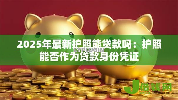 2025年最新护照能贷款吗：护照能否作为贷款身份凭证