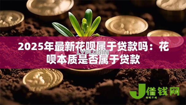 2025年最新花呗属于贷款吗：花呗本质是否属于贷款