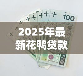 2025年最新花鸭贷款：如何申请花鸭金融产品