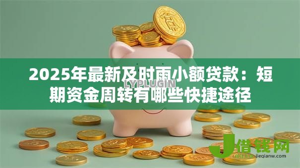 2025年最新及时雨小额贷款：短期资金周转有哪些快捷途径