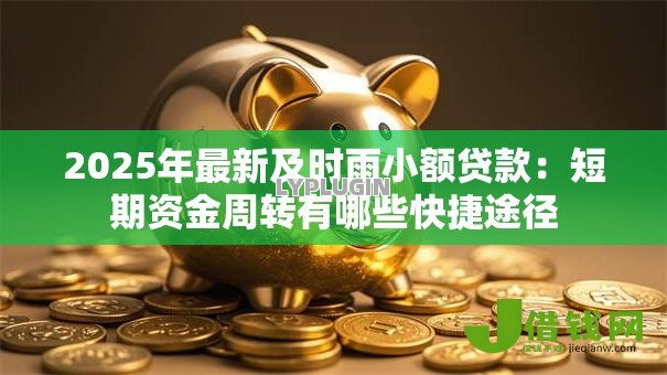 2025年最新及时雨小额贷款：短期资金周转有哪些快捷途径