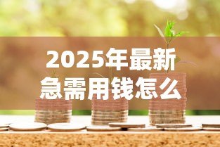2025年最新急需用钱怎么贷款：急缺资金如何快速借款