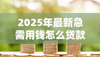 2025年最新急需用钱怎么贷款：急缺资金如何快速借款