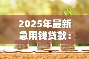 2025年最新急用钱贷款:急需资金周转如何快速申请贷款 2025年最新急用钱贷款:急需资金周转如何快速申请贷款