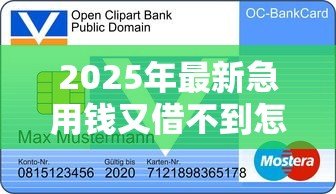 2025年最新急用钱又借不到怎么办小额信贷：急用钱小额贷款被拒如何解决