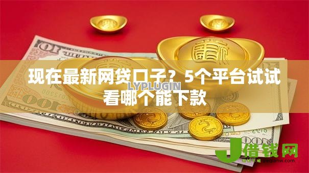 现在最新网贷口子？5个平台试试看哪个能下款