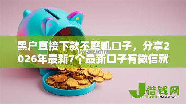 黑户直接下款不磨叽口子，分享2026年最新7个最新口子有微信就能下