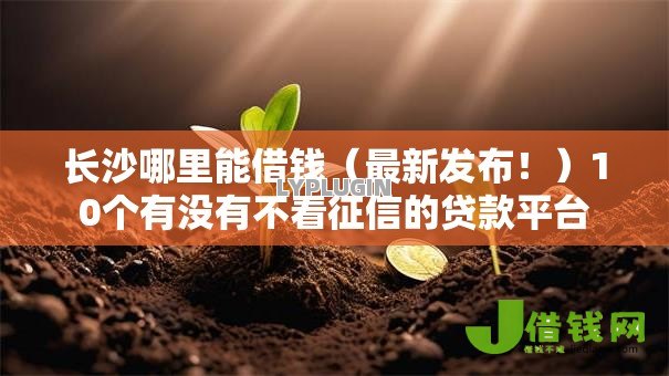 长沙哪里能借钱（最新发布！）10个有没有不看征信的贷款平台