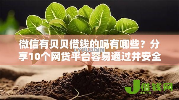 微信有贝贝借钱的吗有哪些？分享10个网贷平台容易通过并安全借到款