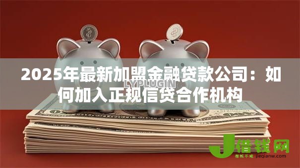 2025年最新加盟金融贷款公司：如何加入正规信贷合作机构
