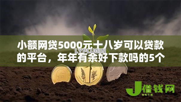 小额网贷5000元十八岁可以贷款的平台，年年有余好下款吗的5个平台介绍