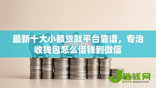 最新十大小额贷款平台靠谱，专治收钱包怎么借钱到微信