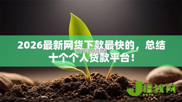 2026最新网货下款最快的，总结十个个人贷款平台！