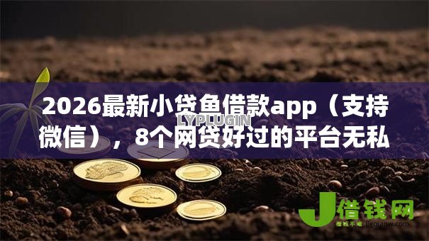 2026最新小贷鱼借款app(支持微信),8个网贷好过的平台无私分享 2026最新小贷鱼借款app(支持微信),8个网贷好过的平台无私分享