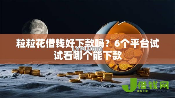 粒粒花借钱好下款吗？6个平台试试看哪个能下款