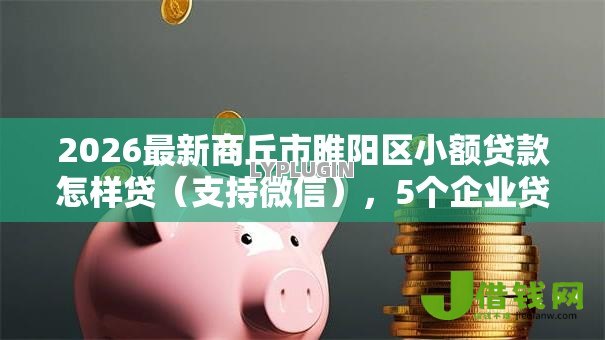 2026最新商丘市睢阳区小额贷款怎样贷（支持微信），5个企业贷款平台好无私分享