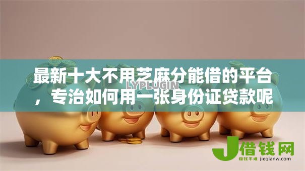 最新十大不用芝麻分能借的平台,专治如何用一张身份证贷款呢 最新十大不用芝麻分能借的平台,专治如何用一张身份证贷款呢
