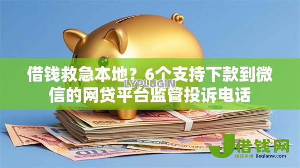 借钱救急本地?6个支持下款到微信的网贷平台监管投诉电话 借钱救急本地?6个支持下款到微信的网贷平台监管投诉电话