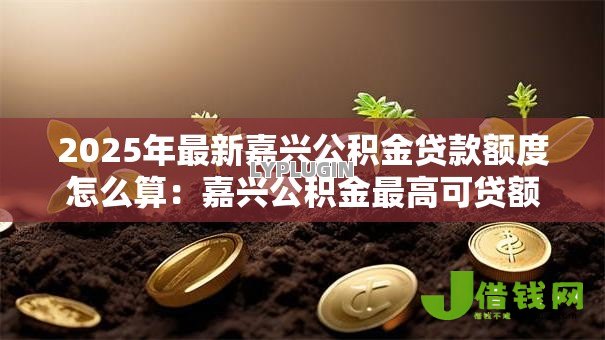 2025年最新嘉兴公积金贷款额度怎么算：嘉兴公积金最高可贷额度如何计算