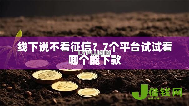 线下说不看征信?7个平台试试看哪个能下款 线下说不看征信?7个平台试试看哪个能下款