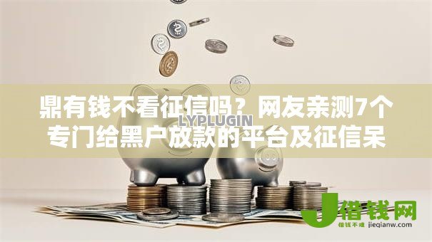 鼎有钱不看征信吗？网友亲测7个专门给黑户放款的平台及征信呆账相关盘点